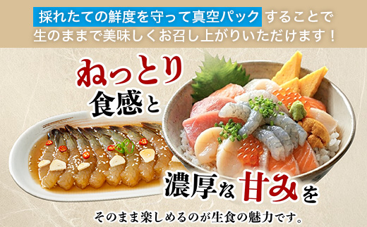 A-233 国産天然海老 有明海産 生芝エビ 刺身用 200g（100g×2パック）生食用 ｜化粧箱入り のし対応 贈答用 ギフト お中元 お歳暮 