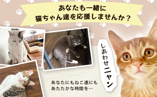 鹿島猫ステッカー（金色）or（黒色）｜保護猫カフェねこの蔵 ステッカー 保護猫 猫 古民家カフェ 支援 鹿島市 猫カフェ カフェ プレゼント　AA-62