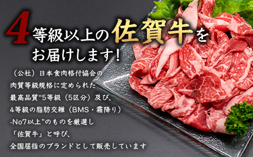 佐賀牛 切り落とし 500g×2【合計1kg】牛肉 肉 佐賀牛 切り落し 切落し 切りおとし D-186