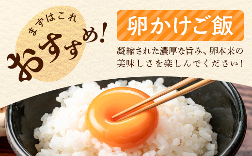 D-117【定期便】佐賀鹿島産 平飼い初卵「うみとやまとこっこ」 上田養鶏場 たまご60個×3回