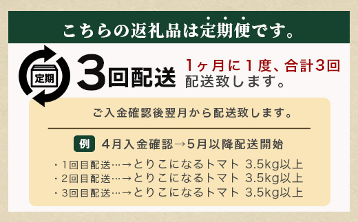 【先行予約】 たにぐちファーム とりこになるトマト【3.5kg以上×3回定期便】【2024年12月から出荷】 Ricotomato トマト C-84