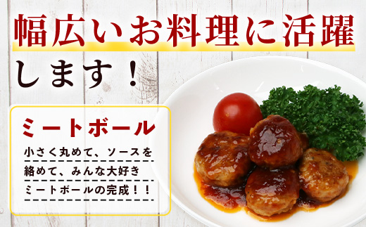 お肉屋さんが作った 国産 生ハンバーグ 2.4kg (120g×20個) 芳寿豚 ハンバーグ B-783