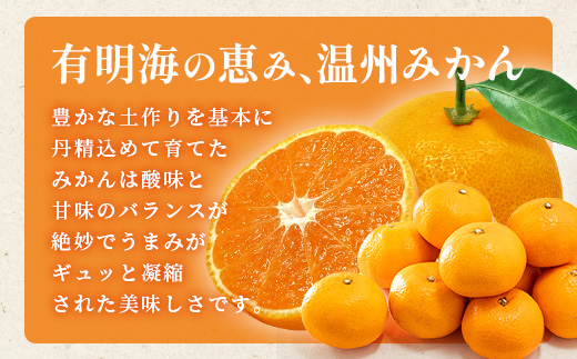 佐賀県産 温州みかん 約11kg（2L～3L混載）大玉みかん【11月下旬～1月上旬ごろ配送】B-802