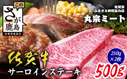 佐賀牛 サーロインステーキ 250g×2枚 ブランド牛 精肉 ステーキ C-200