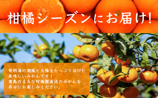 柑橘シーズン限定！　まるな柑橘園のみかんの毎月定期便（柑橘シーズン　６回定期便） I-34