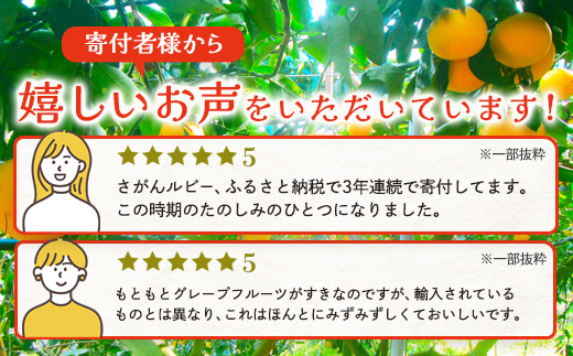 数量限定【先行予約】日本初！幻の国産グレープフルーツ！【さがんルビー 5kg（中玉12～16個）】メディアも注目◆ジューシー柑橘｜柑橘 果物 フルーツ 生産者直送の安心品質 【3月下旬頃より順次発送予定】佐賀県 鹿島市 送料無料 B-2