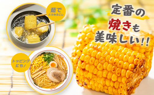 約受付【限定30セット】 スイートコーン （ゴールドラッシュ） 10～12本入 朝採れ とうもろこし トウモロコシ 野菜 糖度17~18℃以上 鹿島市産 佐賀県産 春 夏 旬【2025年6月上旬～順次発送】 B-319