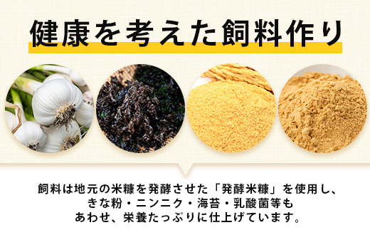 【定期便 12回】平飼い卵「うみとやまとこっこ」上田養鶏場 たまご20個 × 12ヶ月【合計240個】佐賀県鹿島産 卵 タマゴ I-32