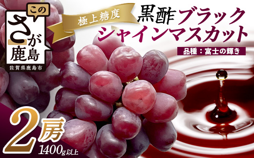 ブラックシャインマスカット 富士の輝き 2房 1400g以上 【先行予約】【2026年8月下旬〜9月下旬発送予定】希少 高糖度 ブラック シャインマスカット マスカット フルーツ 果物 ぶどう 新鮮 生産者直送 葡萄 佐賀県 鹿島市 送料無料 D-300