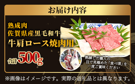 E-49 ãçæèãäœè³çç£é»æ¯åç çè©ããŒã¹ çŒèçš 500ïœ