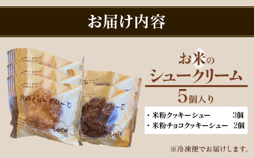 AA-41 お米のシュークリーム詰め合わせ（プレーン３個・チョコ２個）