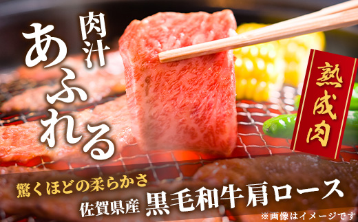 E-49 ãçæèãäœè³çç£é»æ¯åç çè©ããŒã¹ çŒèçš 500ïœ