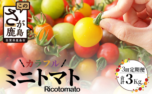 【先行予約】 カラフルミニトマト 『Ricotomato』 【1kg×4回定期便】 【2026年1月から出荷】 F-25