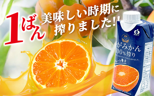 B-245\工場直送/果汁100% さがみかん100%搾り 330ml × 12本|計3960ml | 温州みかん果汁100% |ストレート|オレンジジュース|濃厚|フルーティ|鹿島市製造|人気|安心安全 |リピーター