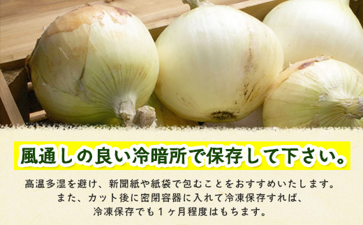 【予約受付】鹿島市産 新玉ねぎ 合計5kg A-207 たまねぎ 玉葱 サラダ 料理【2026年4月中旬より順次発送】