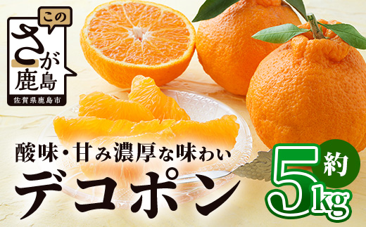 基準クリアの高級柑橘【デコポン】約5kg 不知火 しらぬい でこぽん みかん 蜜柑 ミカン オレンジ 柑橘 フルーツ 果物 贈り物 贈答 プレゼント 高級 ブランド 限定 ギフト B-672