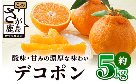 äºçŽåä» åºæºã¯ãªã¢ã®é«çŽææ©ããã³ãã³ãçŽ5kg äžç¥ç« ããã¬ã ã§ããœã ã¿ãã èæ ãã«ã³ ãªã¬ã³ãž ææ© ãã«ãŒã æç© èŽãç© èŽç ãã¬ãŒã³ã é«çŽ ãã©ã³ã éå® ã®ãã B-672