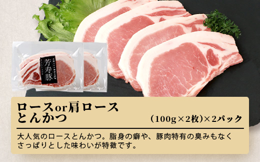 B-207 SPFãã¬ãã¢ã ããŒã¯è³å¯¿è±ãã©ãšãã£ã»ããïŒãšããã€ã»ã¹ã©ã€ã¹ã»ãŠã£ã³ããŒïŒ