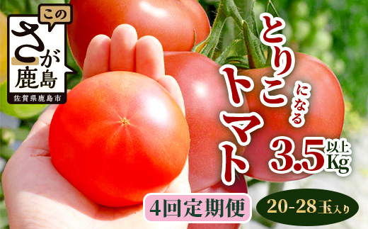 【先行予約】 たにぐちファーム とりこになるトマト 【3.5kg以上×4回定期便】【2024年12月から出荷】Ricotomato とりこになるトマト D-160