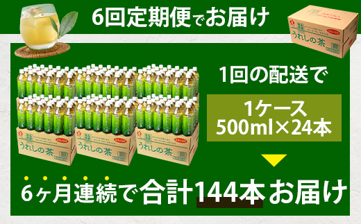 工場直送！うれしの茶 500ml×24本入 《6回 定期便》箱買い セット お茶 飲料 緑茶 飲み切りサイズ うれしの 嬉野茶 ペットボトル 24本入り 500ml ストック ギフト 贈り物 贈答 お中元 お歳暮 季節の変わり目 旬 備蓄 備え 佐賀県 鹿島市 J-35