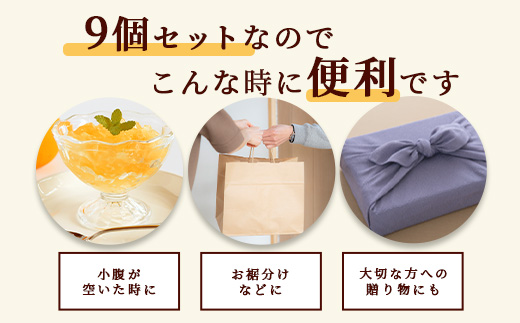 鹿島みかん 飲むジュレ（9本セット） ミカン ジュレ ジュース 果汁飲料 B-654