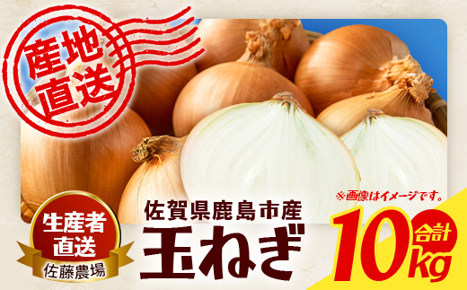 B-916 ＼生産者直送／佐藤農場が育てた鹿島市産玉ねぎ 10kg｜ 鹿島市産 玉ねぎ 佐藤農場 産地直送 新鮮 野菜 大容量