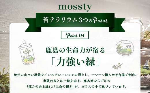 J-33　苔テラリウム　手入れ簡単 癒やしのインテリア 卓上サイズ 誕生日 プレゼント雑貨 敬老の日 贈り物 観葉植物 初心者 鹿島市産 / mossty