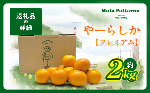 ãå
è¡äºçŽããçºéã¯2026幎10æäžæ¬ãã11æäžæ¬ãããããŒãããã¿ããâãã¬ãã¢ã âçŽ2kgïŒç®±èŸŒã¿ééïŒïœãæ°ééå®ãå°ç²ãµã€ãº ãå®¶åºçšïœäžå£ã§é£ã¹ãããæ¿çž®æšã¿ ïœçç£è
çŽé åœç£ äœè³çç£ ãã«ã³ èæ æç© ãã«ãŒã éæç¡æ A-224