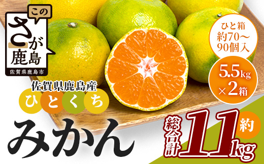 B-632 【先行予約】 鹿島 平倉果樹園のひとくちみかん 約5.5kg×2箱（合計約11kg）