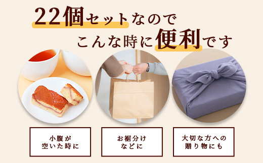 【赤門堂の焼菓子】鹿島いちごちゃん【22 個入り】お菓子 郷土菓子 ご当地スイーツ 焼き菓子 焼菓子 贈物 プレゼント ギフト 贈り物 お土産 おやつ B-644