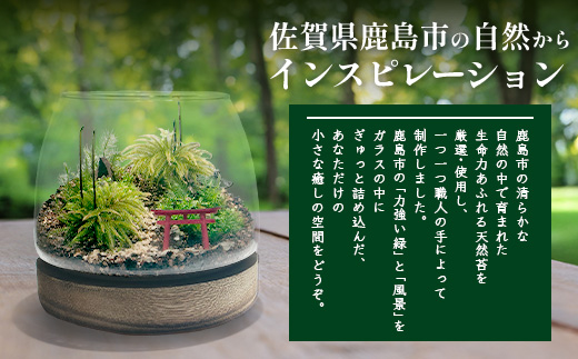 H-53　苔テラリウム　手入れ簡単 癒やしのインテリア 卓上サイズ 誕生日 プレゼント雑貨 敬老の日 贈り物 観葉植物 初心者 鹿島市産 / mossty