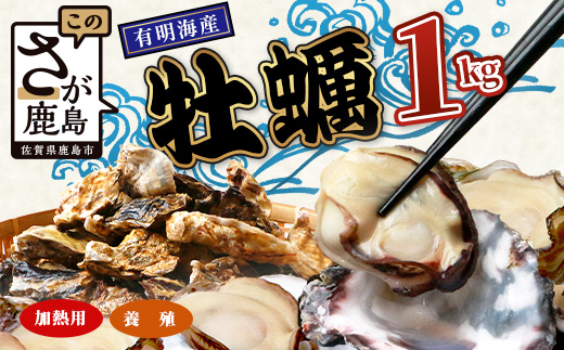 有明海産 養殖牡蠣1kg｜殻付き生牡蠣｜加熱調理用｜新鮮 佐賀県産 カキ【レンジで簡単調理】お正月 夕食 おつまみ おかず 佐賀県 鹿島市 人気 冬季限定 AA-12