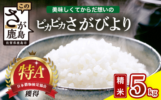 令和7年産 佐賀県産 さがびより 5kg 白米《からだ想いのピカピカさがびより》ふるさと納税 米 お米 新米 精米 国産 佐賀県 鹿島市 ふるさと 人気 送料無料 C-184