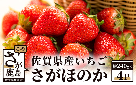 【予約受付】 佐賀県産いちご 「さがほのか」 約240ｇ×4パック B-464