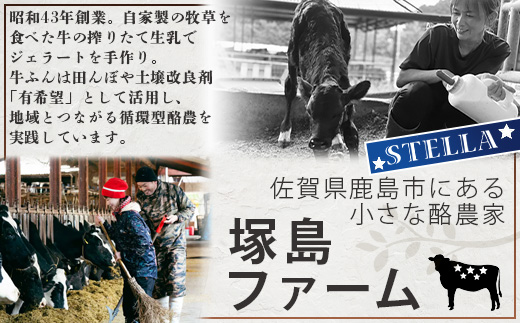 B-30 牧場直送！食べ比べ|しぼりたて生乳|極上ジェラートSTELLA8個90g×8個|ミルク 抹茶 いちご きなこ4種×2個| 厳選素材 アイス プレゼント 贈り物 お中元 お歳暮 ご自宅用 美味しい贅沢 絶品 上質 佐賀県 鹿島市 冷凍 送料無料 