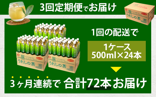 工場直送！うれしの茶 500ml×24本入 《3回 定期便》箱買い セット お茶 飲料 緑茶 飲み切りサイズ うれしの 嬉野茶 ペットボトル 24本入り 500ml ストック ギフト 贈り物 贈答 お中元 お歳暮 季節の変わり目 旬 備蓄 備え 佐賀県 鹿島市 F-97