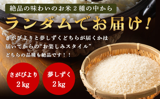 令和7年産 鹿島市産 [さがびより or 夢しずく] 2kg 1袋 【品種指定不可】 精米 白米 小分け 少量 低容量 A-226