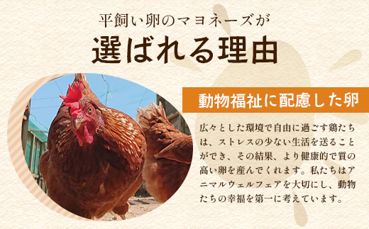 ＼濃厚卵のマヨネーズ／瓶詰め マヨネーズ 3本セット | 上田養鶏場のこっこの陽なたマヨ 170g | マヨネーズ マヨ 調味料 たまご 平飼い お料理 安心 安全 玉子 サラダ ディップ ポテトサラダ ドレッシング 送料無料　B-812