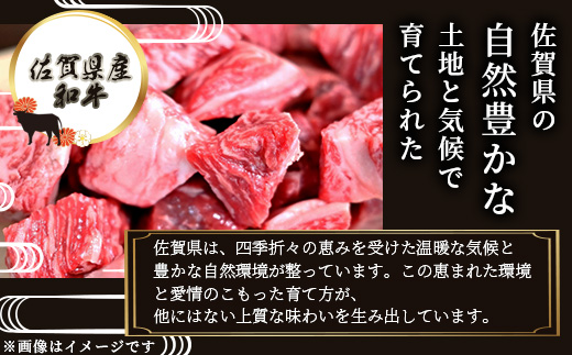 B-81 ＼生活応援／佐賀産 和牛 カレー・シチュー用 600g 佐賀産和牛 肉 佐賀 牛肉 佐賀県 鹿島市 冷凍 送料無料 人気