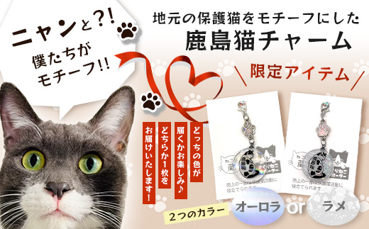 鹿島猫チャーム｜保護猫カフェねこの蔵 チャーム 保護猫 猫 古民家カフェ 支援 鹿島市 猫カフェ カフェ プレゼント　AA-64