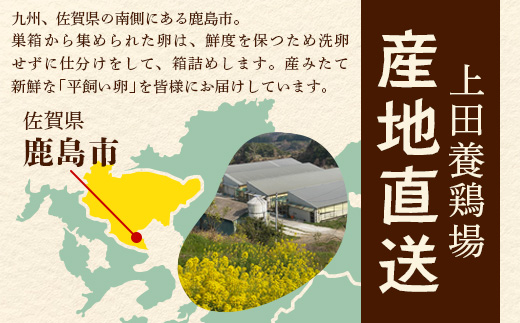 D-117【定期便】佐賀鹿島産 平飼い初卵「うみとやまとこっこ」 上田養鶏場 たまご60個×3回