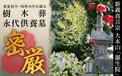 樹木葬永代供養墓「密厳」　佐賀県 鹿島市 鹿島 誕生院 お寺 寺院 樹木葬 永代供養 宗教 宗派 檀家 墓じまい 管理費不要　V-61