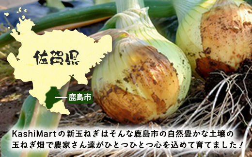 【予約受付】鹿島市産 新玉ねぎ 合計5kg A-207 たまねぎ 玉葱 サラダ 料理【2026年4月中旬より順次発送】