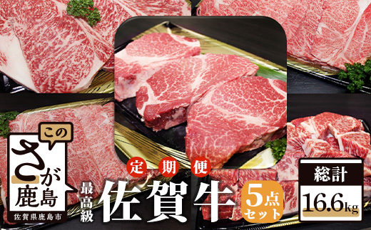 【初回は3月スタート】W-4 佐賀牛尽くし5点セット【全4回定期便お届け】総計16.6kg