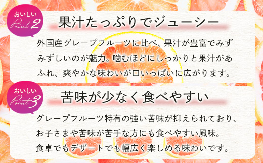 数量限定【先行予約】日本初！幻の国産グレープフルーツ！【さがんルビー 5kg（中玉12～16個）】メディアも注目◆ジューシー柑橘｜柑橘 果物 フルーツ 生産者直送の安心品質 【3月下旬頃より順次発送予定】佐賀県 鹿島市 送料無料 B-2