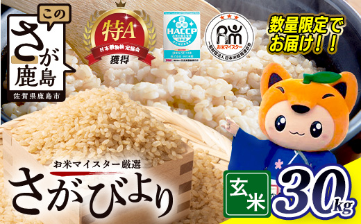 さがびより 令和7年産 玄米 30kg × 1袋  F-10 ふるさと納税 米 お米 新米 国産 佐賀県 鹿島市 ふるさと 人気 送料無料 【15年連続 特A評価】