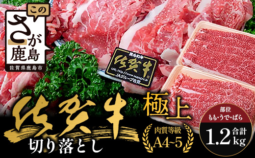 佐賀牛切り落とし【もも、うで、ばら】600g×2P(1.2kg)｜佐賀牛 和牛 国産牛 高級 ごちそう ギフト グルメ 贅沢 ふるさと納税 ブランド牛 佐賀県 鹿島市 お取り寄せ 牛肉好き必見 鹿島 もも うで ばら 切り落とし 牛肉 贅沢な食事　D-233