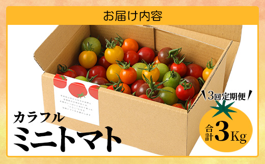 【先行予約】 カラフルミニトマト 『Ricotomato』 【1kg×4回定期便】 【2026年1月から出荷】 F-25