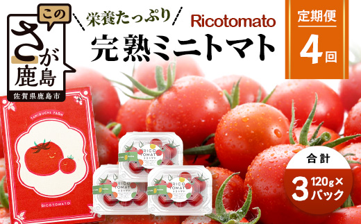 【4回定期便】【先行予約】完熟ミニトマト 【少量パック】120gx3p　たにぐちファーム 完熟ミニトマト 360g とりこになるトマト 野菜 とまと トマト リコピン 佐賀産 佐賀県 鹿島市　E-160
