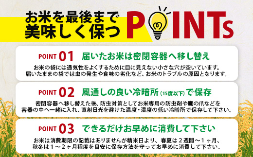 夢しずく 新米 令和7年産 佐賀県産 10kg 白米【 2年連続 特A評価 】B-45